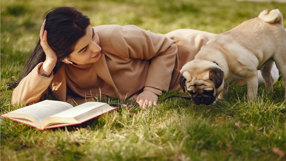 Pug eating hot sale grass