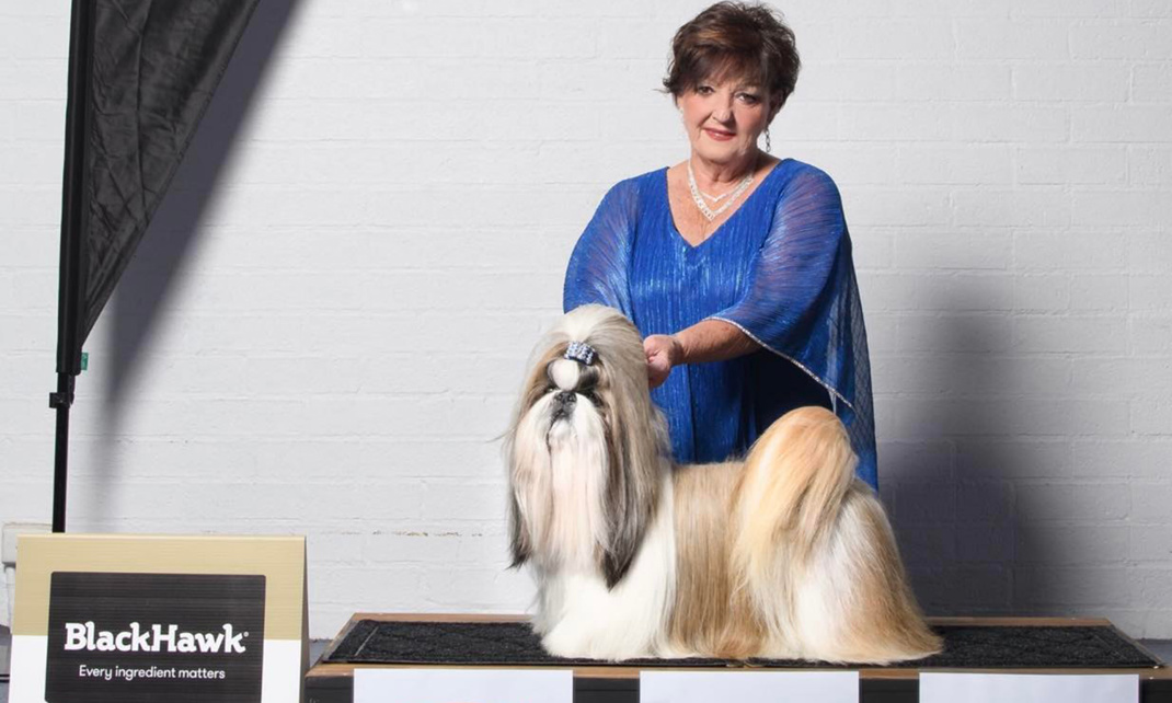 Teena Sloan Ambassador Cover Image 1500X900