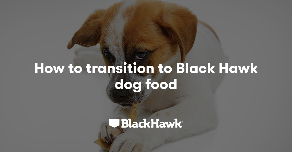 Less dog poo with Black Hawk Black Hawk Dog Food Black Hawk