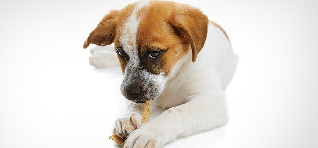 0020 Istock 000023980193 Large (1)