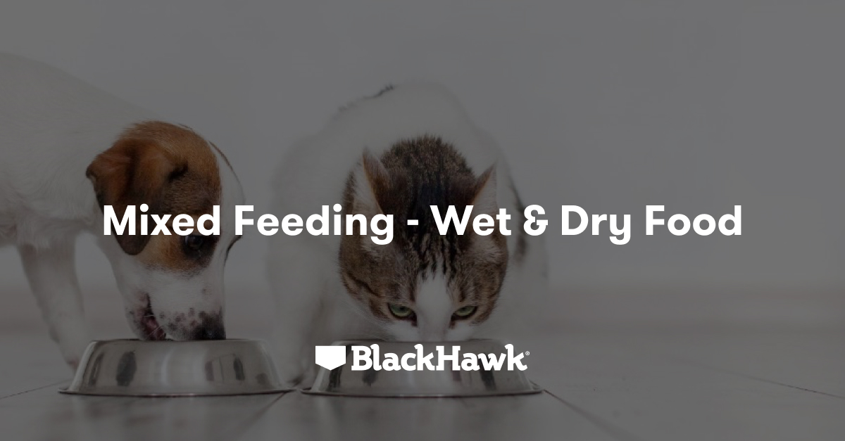 Feeding my Pet Wet and Dry Food Black Hawk Black Hawk