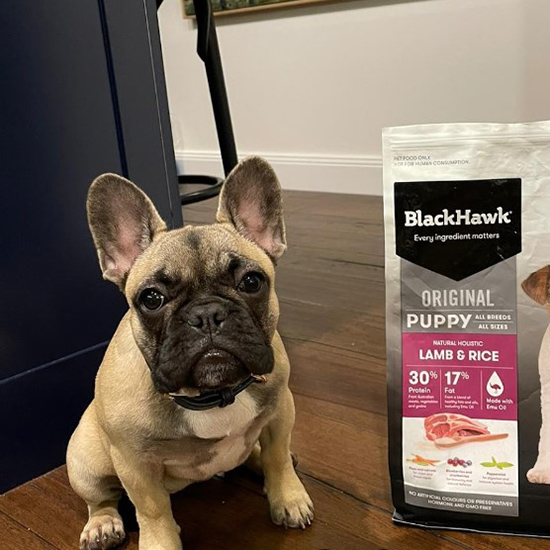 Blackhawk chicken clearance and rice puppy