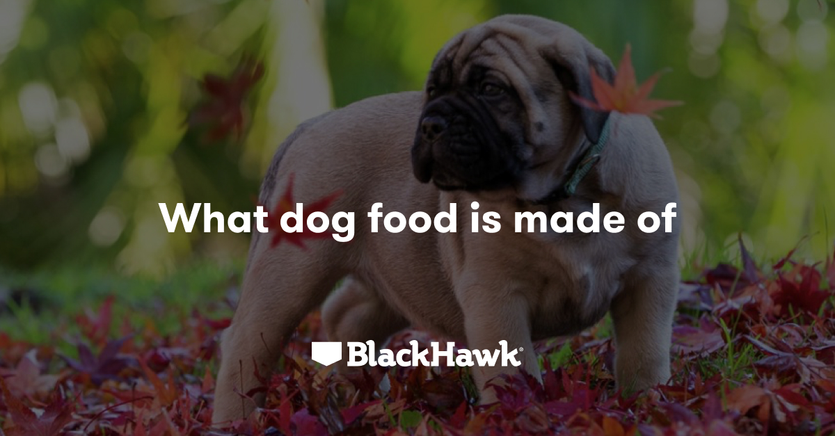 Dog food ingredients, learn what to look for to help you make smarter and safer pet food