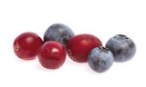 Blueberries And Cranberries 245X147