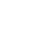 Kitten Brain Eye