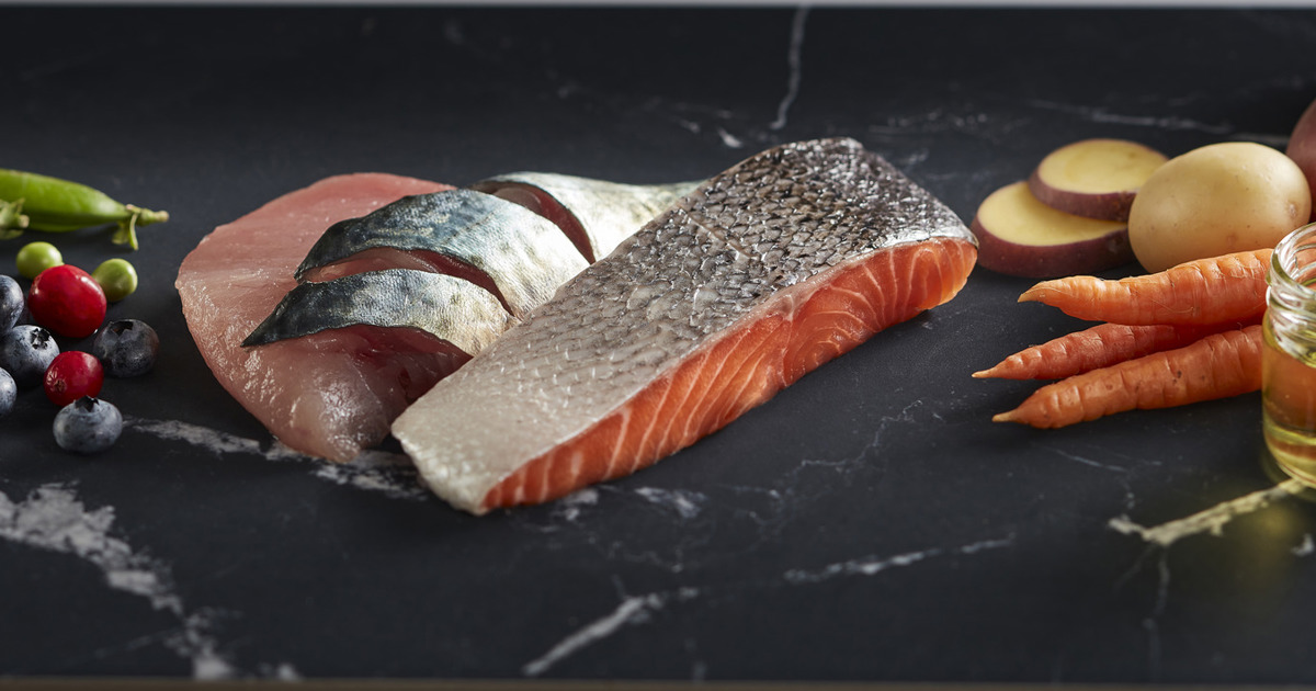 Original Dog Food Fish and Potato Black Hawk