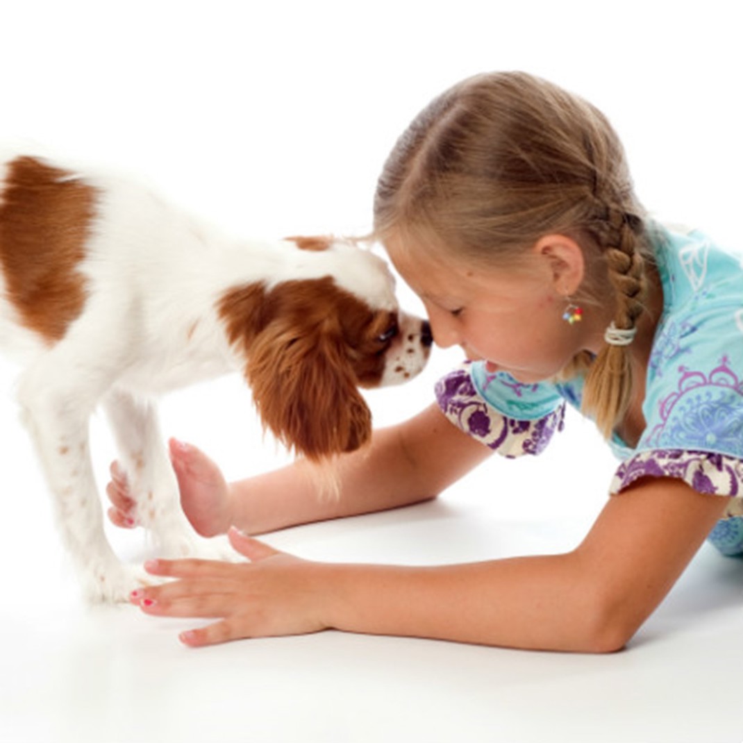 Best Dogs For Kids 450X450