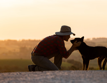 Farmer Kelpie 1440X850
