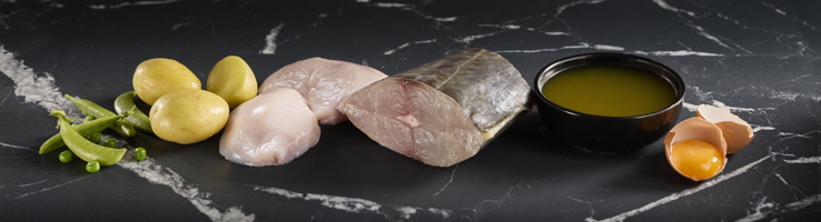 Original Wet Dog Food - Fish & Vegetables - Medium-Large hero image