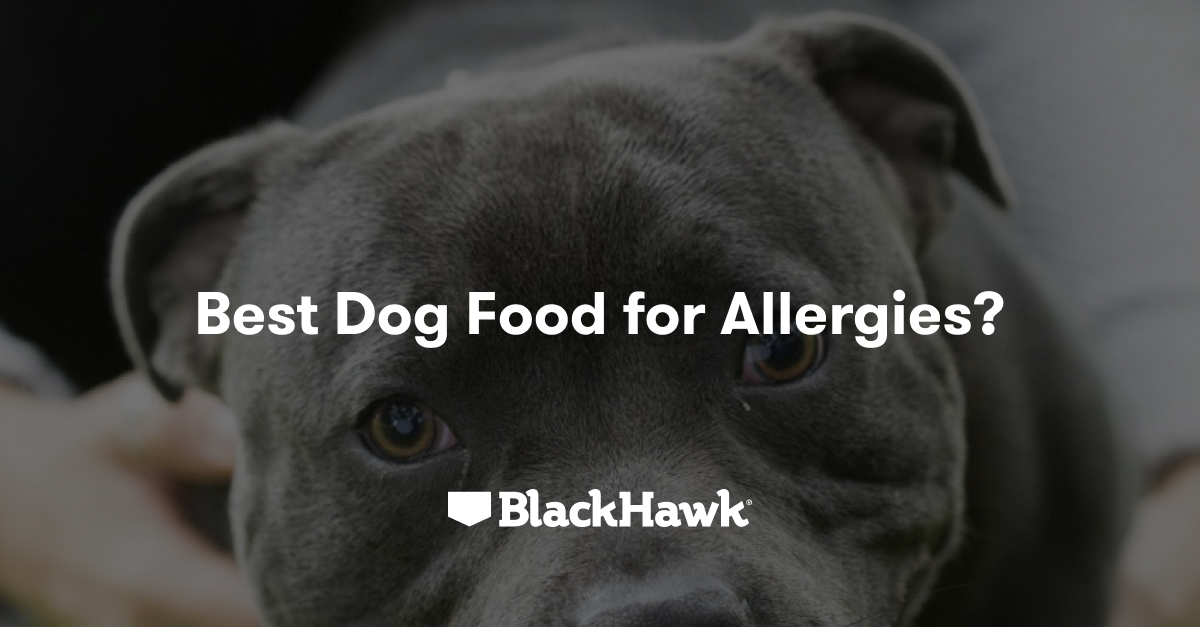 Dog Allergies. Skin Allergies. Ear Allergies. Black Hawk Black Hawk