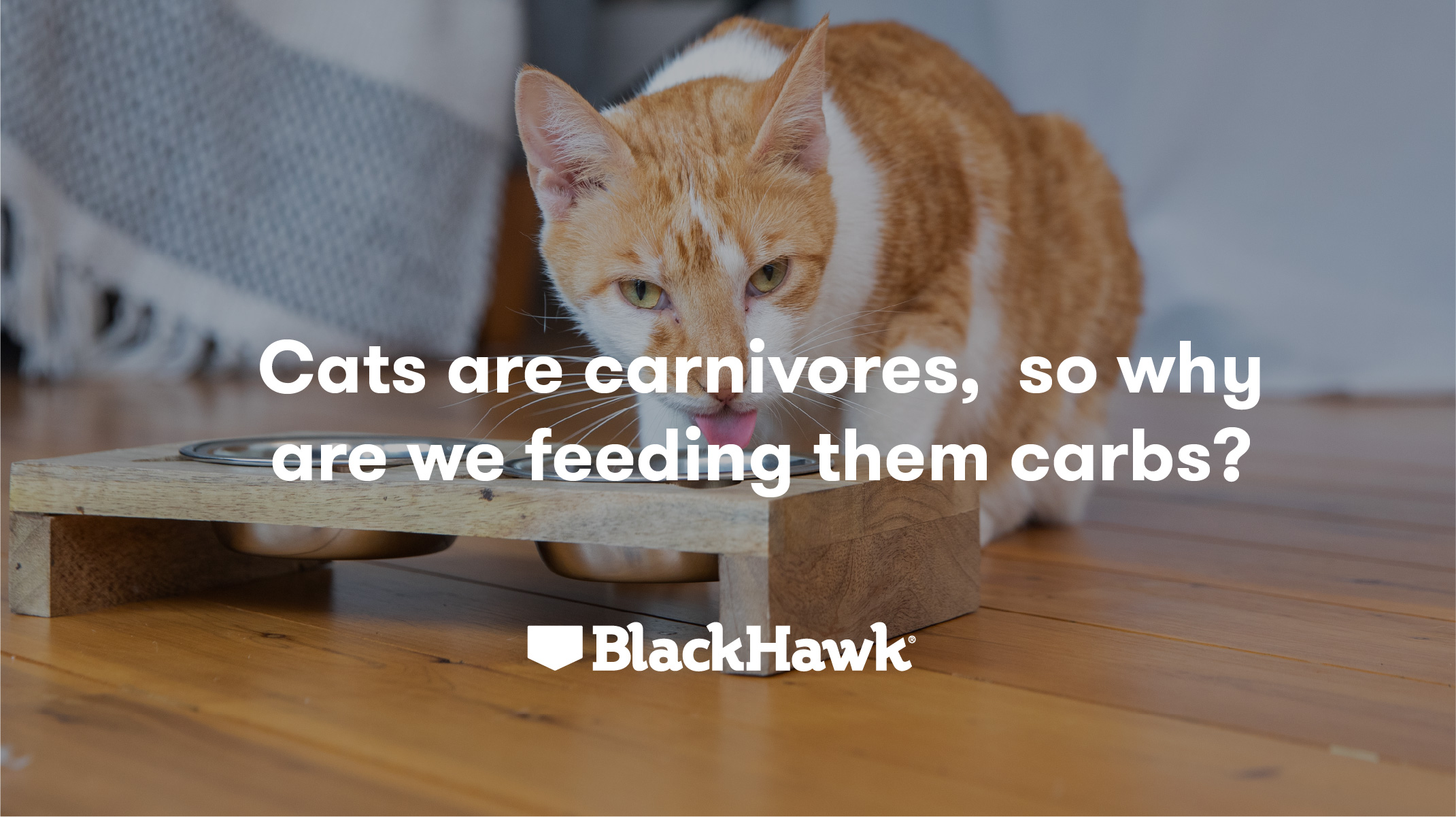 Cats are Carnivores, so why are we Feeding them Carbs? Black Hawk