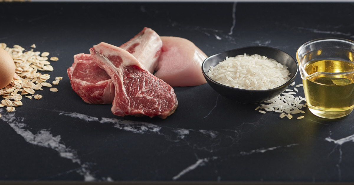 Dry Cat Food Lamb and Rice Black Hawk Black Hawk